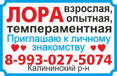 Ремонт бытовой техники